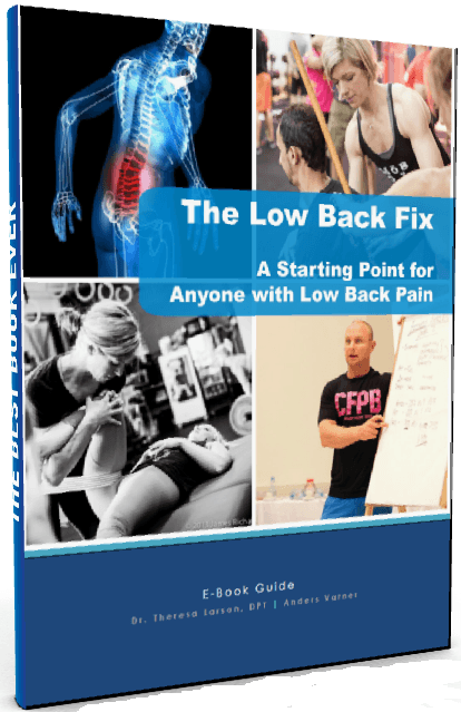 the low back fix guide book 