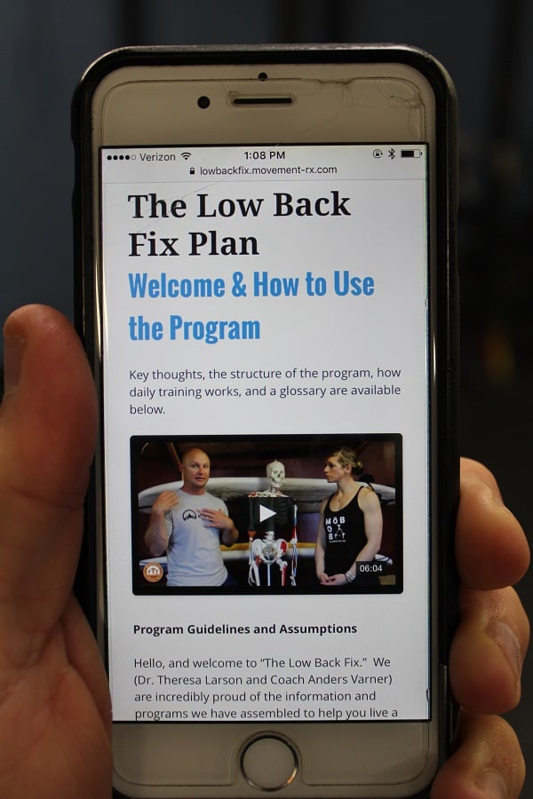 the low back fix plan 